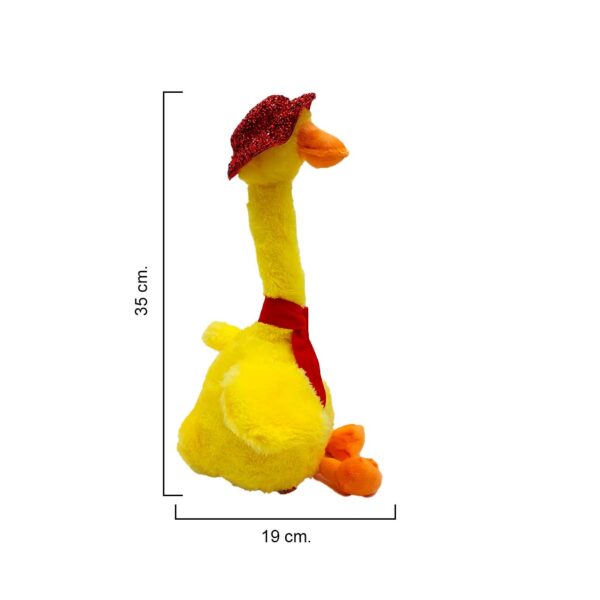 Pato bailarín - Imagen 2